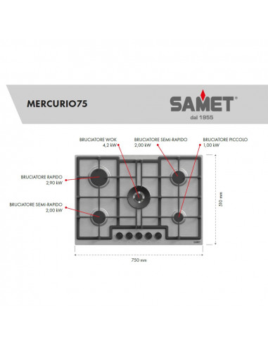 Piano cottura a gas in acciaio inox...